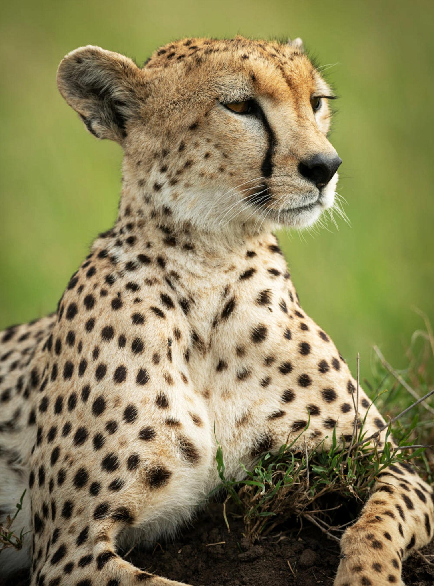Serengeti National Park 
