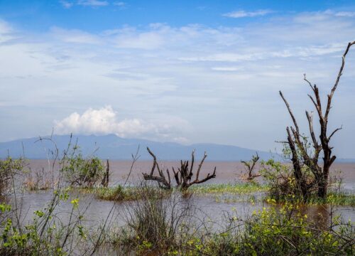 Serengeti Migration Safari