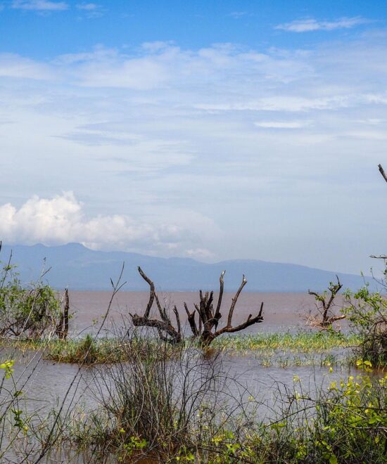 Serengeti Migration Safari