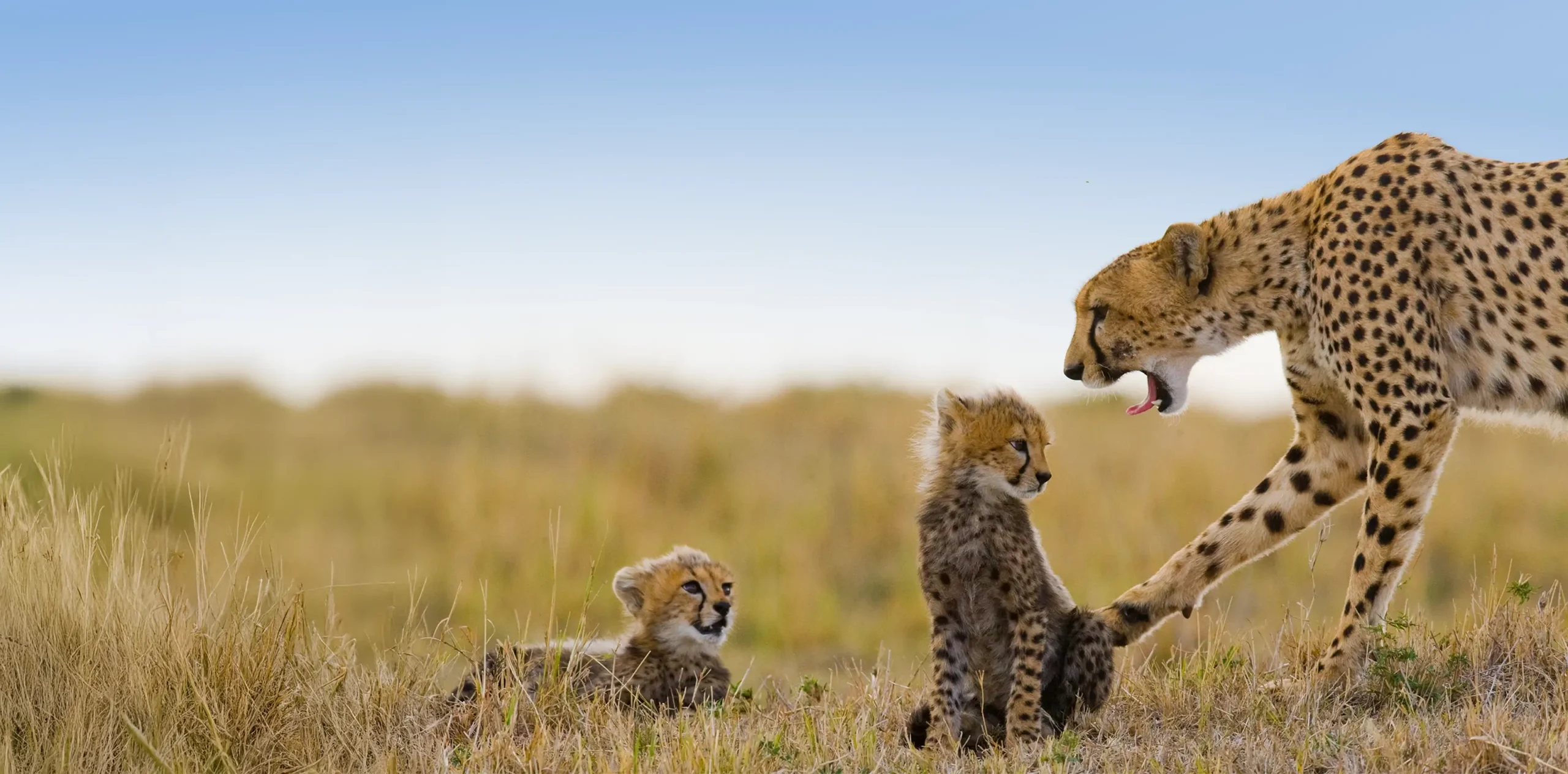 Unforgettable Destinations